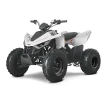 atv copii linhai 110