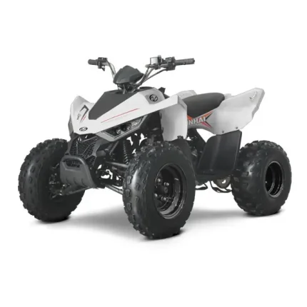 atv copii linhai 110